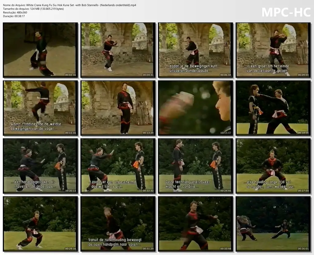 White Crane Kung Fu Siu Hok Kune Set with Bob Stannells (Nederlands ondertiteld).mp4 thumbs