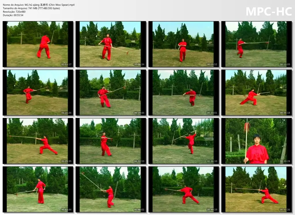 Wǔ hǔ qiāng 五虎枪 (Chin Woo Spear).mp4 thumbs