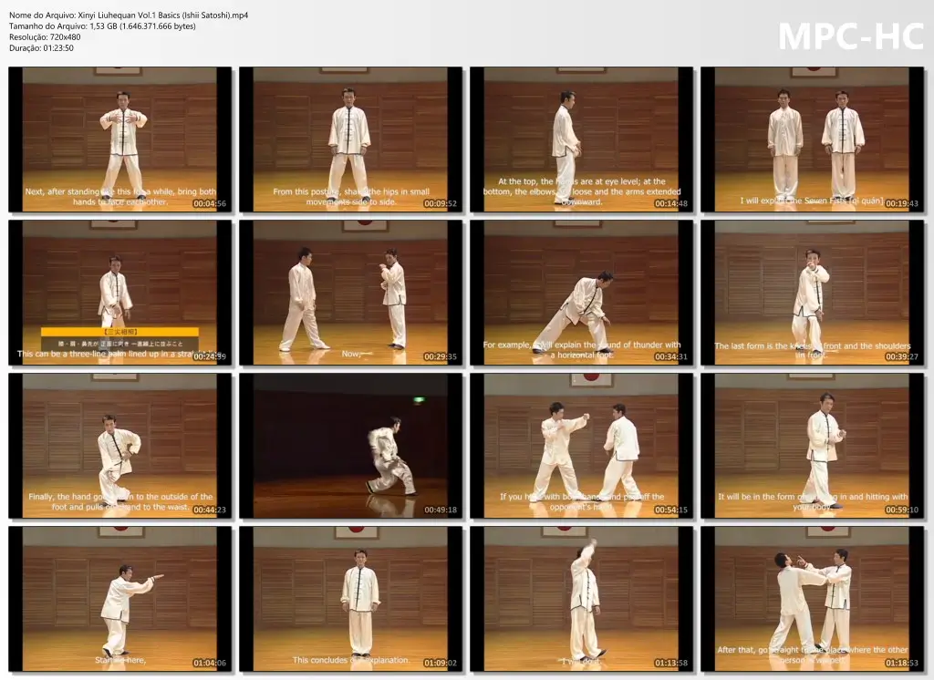 Xinyi Liuhequan Vol.1 Basics (Ishii Satoshi).mp4 thumbs
