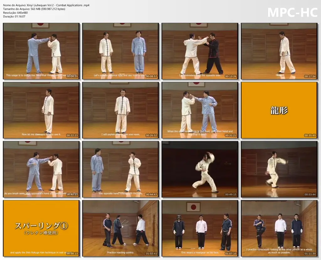 Xinyi Liuhequan Vol.2 Combat Applications .mp4 thumbs