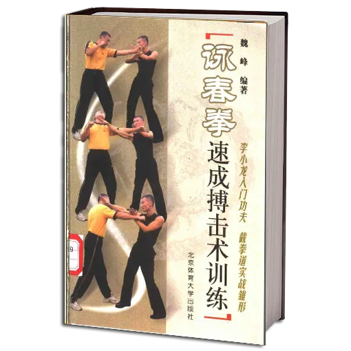 Jkd wing chun