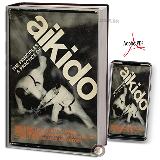 The principles and practice of aikido