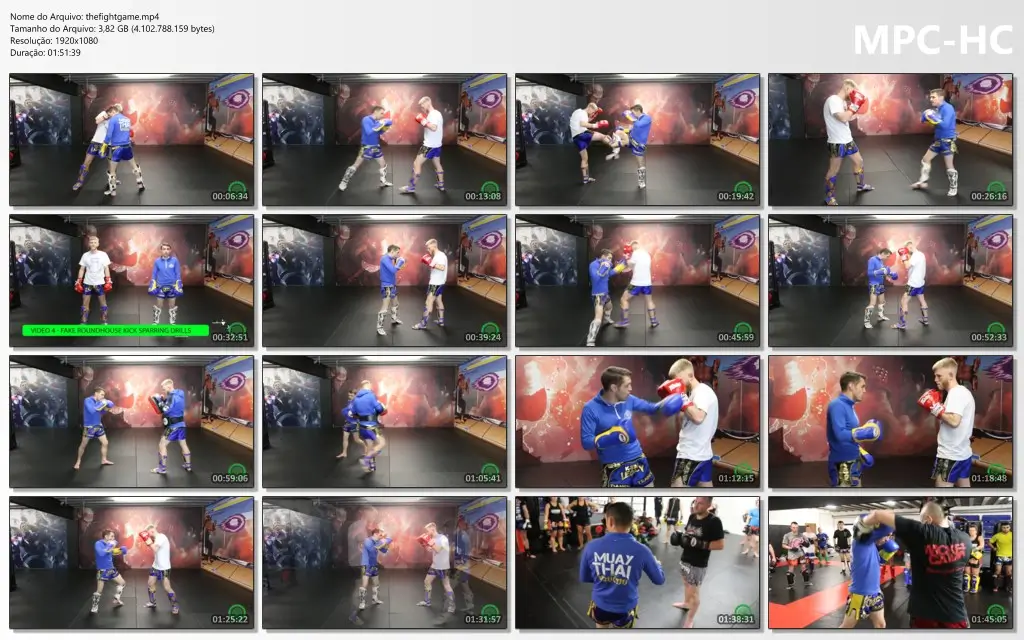 Thefightgame.mp4 thumbs