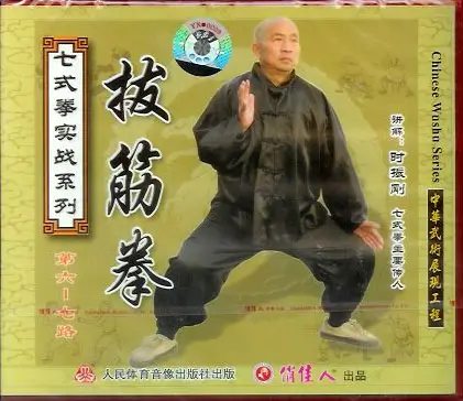 SHI ZHEN GANG - SEVEN FORM BOXING - TENDON TURNING SECTIONS 6-7 - Imagem 2