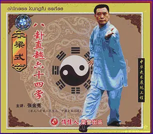 ZHANG QUANLIANG - APPRECIATION OF BAGUA BOXING LIANG-STYLE 01 - 64 LINEAR PALMS - Imagem 2