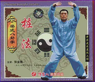 ZHANG QUANLIANG - APPRECIATION OF BAGUA BOXING LIANG-STYLE 08 - STANDING POLE PRACTICE - Imagem 2