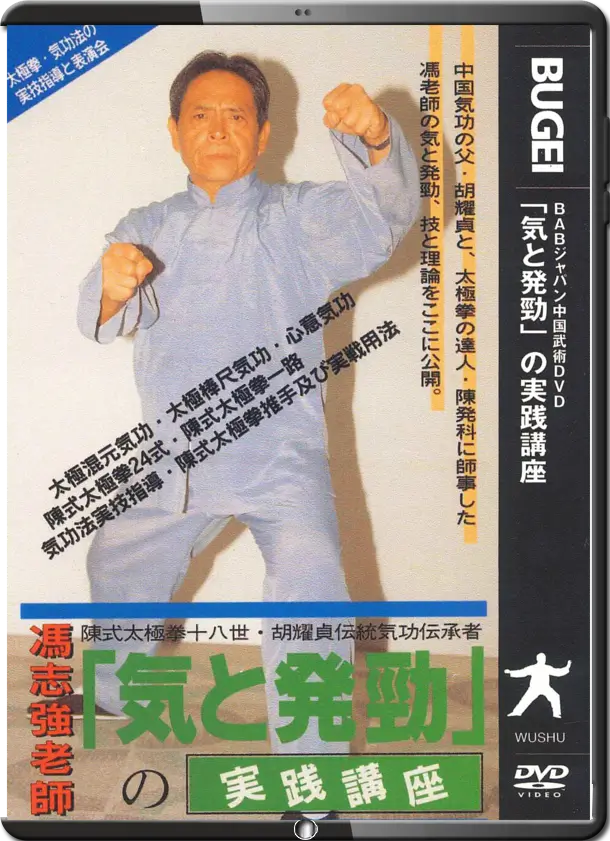 FENG ZHIQIANG - PRACTICAL COURSE ON QI AND FA JING