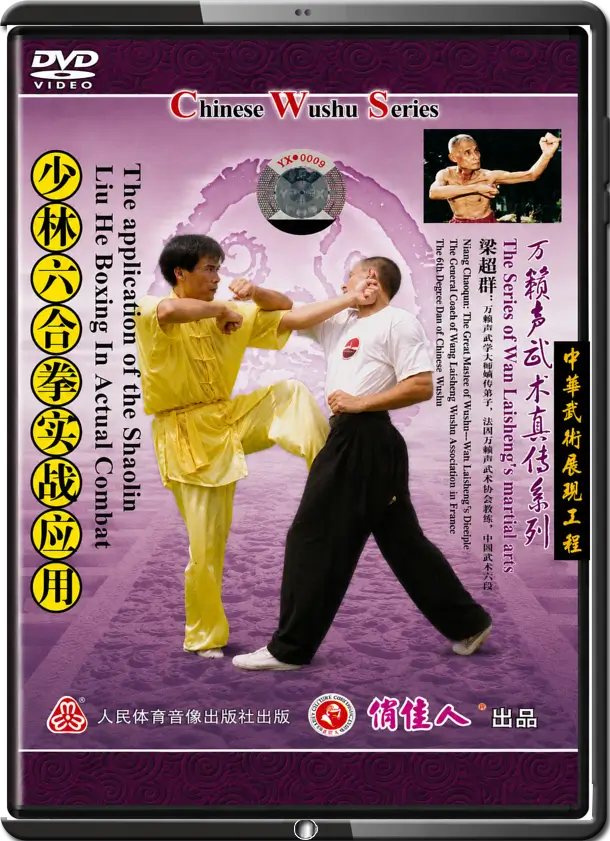 LIANG CHAOQUN - THE MARTIAL ARTS OF WAN LAI SHENG - LIU HE USAGE