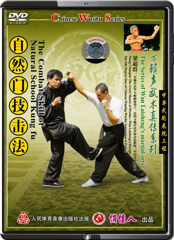 LIANG CHAOQUN - THE MARTIAL ARTS OF WAN LAI SHENG - ZIRAN USAGE