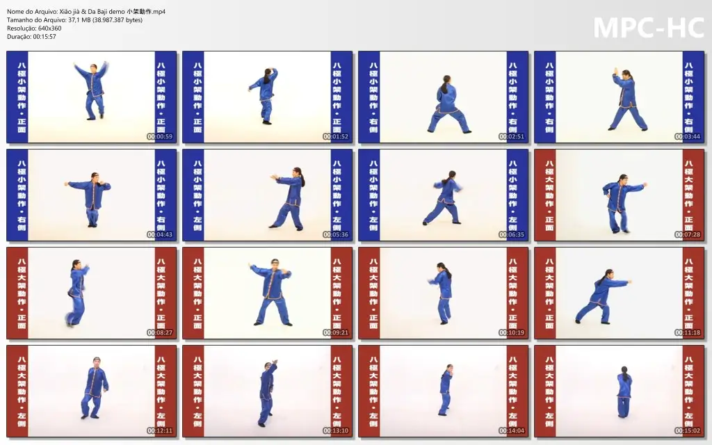 Xiǎo jià & Da Baji demo 小架動作.mp4 thumbs