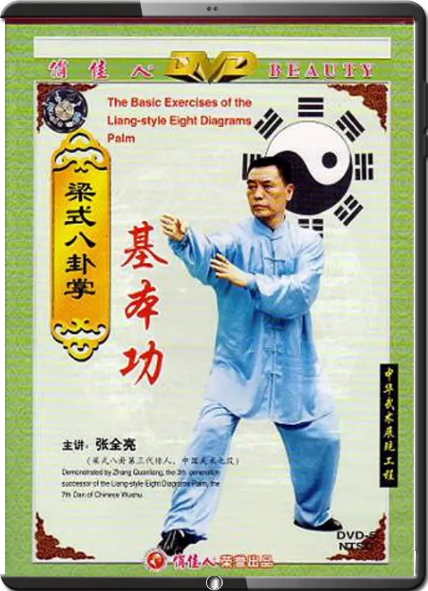 ZHANG QUANLIANG - APPRECIATION OF BAGUA BOXING LIANG-STYLE 09 - FUNDAMENTALS