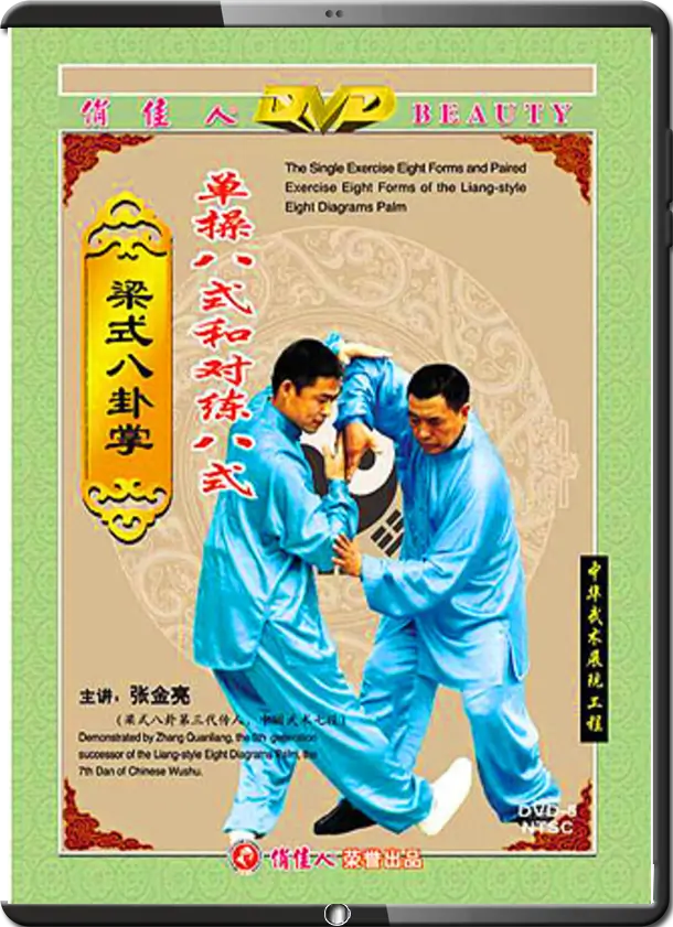 ZHANG QUANLIANG - APPRECIATION OF BAGUA BOXING LIANG-STYLE 02 - PARTNER PRACTICE
