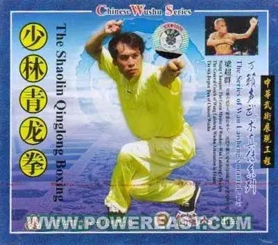 LIANG CHAOQUN - THE MARTIAL ARTS OF WAN LAI SHENG - SHAOLIN GREEN DRAGON - Imagem 2