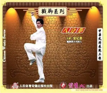 AN RIYONG - CHINESE WUSHU SERIES - CHUOJIAO STYLE 01 - BAFENQUAN - Imagem 2