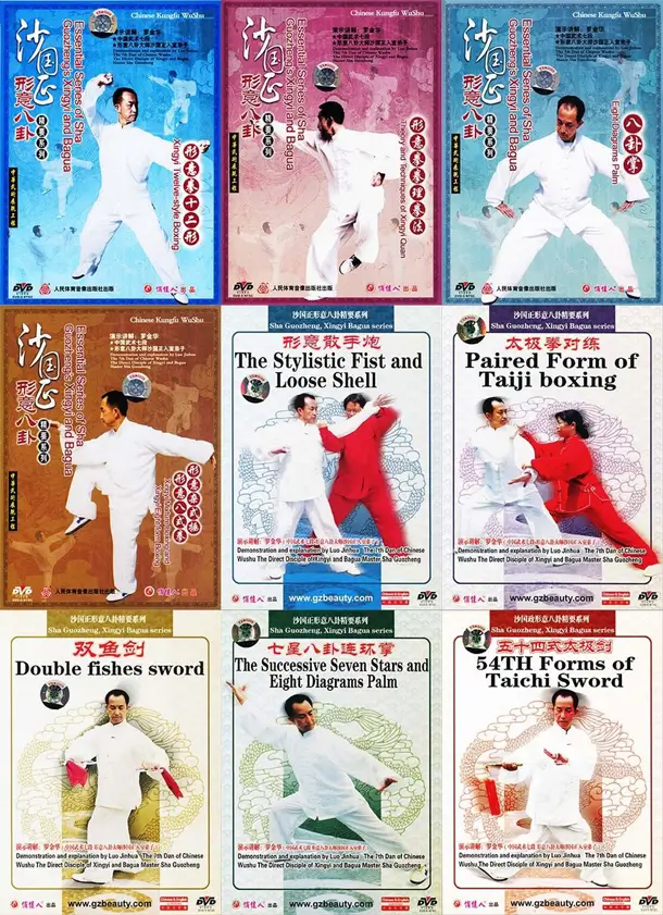 SHA GUOZHENG - LUO JINHUA - THE SHA GUOZHENG XINGYI BAGUA COLLECTION SERIES - Imagem 2
