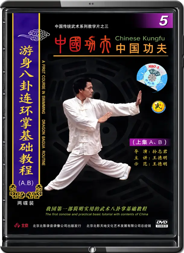 SUN ZHI JUN - CHENG BA GUA - SWIMMING DRAGON BASICS