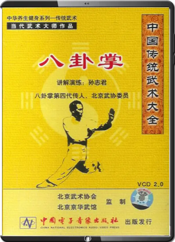 SUN ZHI JUN - CHENG BA GUA - THE CORE EIGHT PALMS