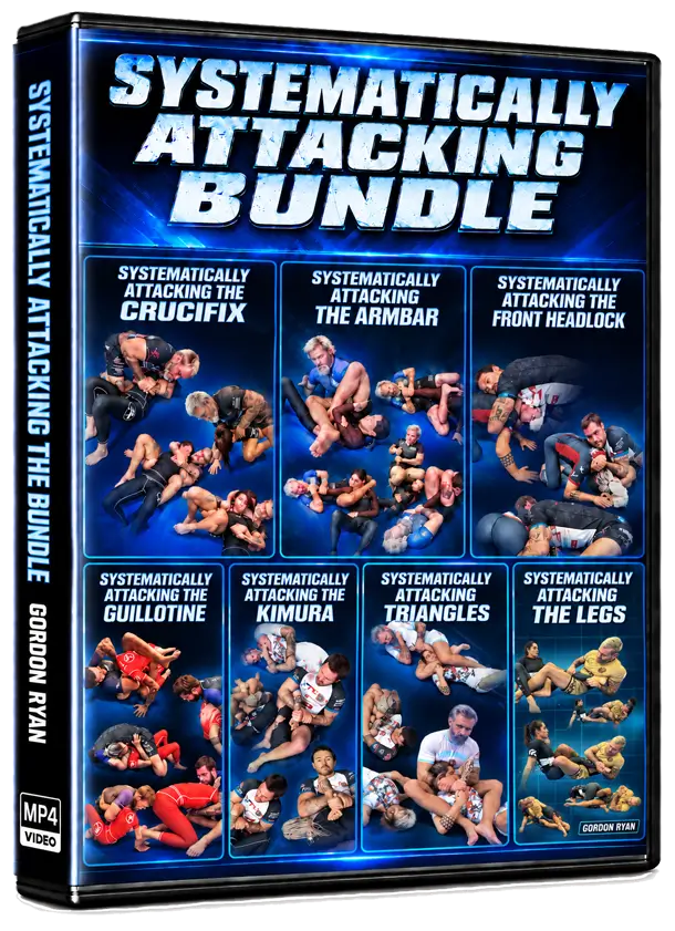 SYSTEMATICALLY ATTACKING BUNDLE BY GORDON RYAN