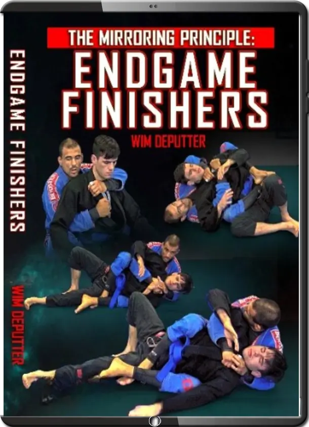 WIM DEPUTTER - THE MIRRORING PRINCIPLE - END GAME FINISHERS