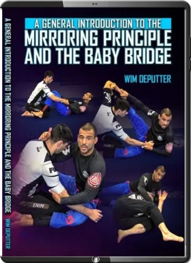 WIM DEPUTTER - THE MIRRORING PRINCIPLE - GENERAL INTRODUCTION TO MIRRORING PRINCIPLE