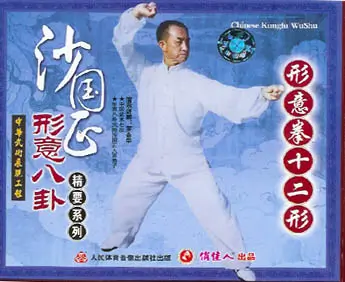 SHA GUOZHENG - LUO JINHUA - THE SHA GUOZHENG XINGYI BAGUA 01 - XINGYI TWELVE-STYLE BOXING - Imagem 2