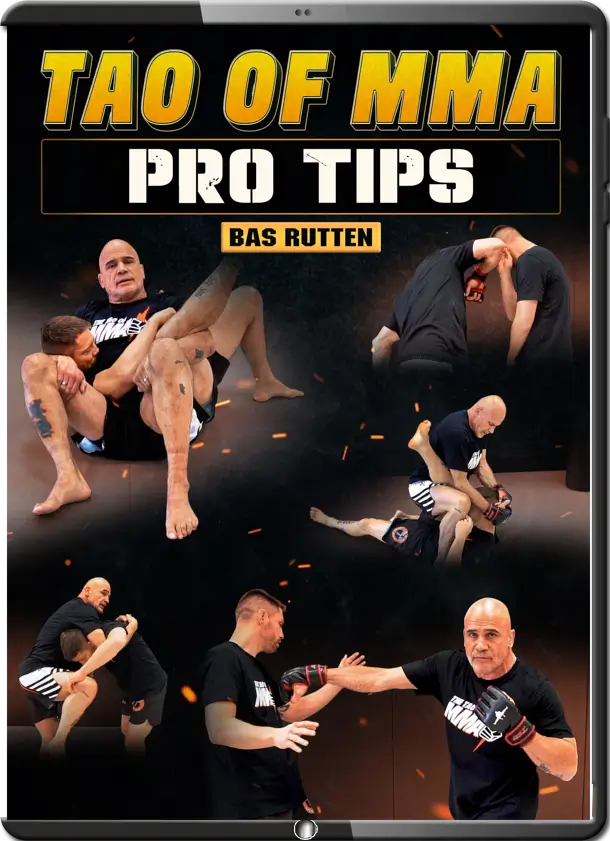 BAS RUTTEN - TAO OF MMA - PRO TIPS
