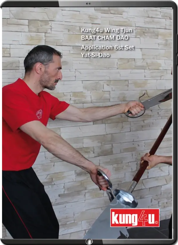SIFU TANER & SIFU GRAZIANO - 32 - BAAT CHAM DAO (BUTTERFLY SWORDS) APPS 6 OF 8