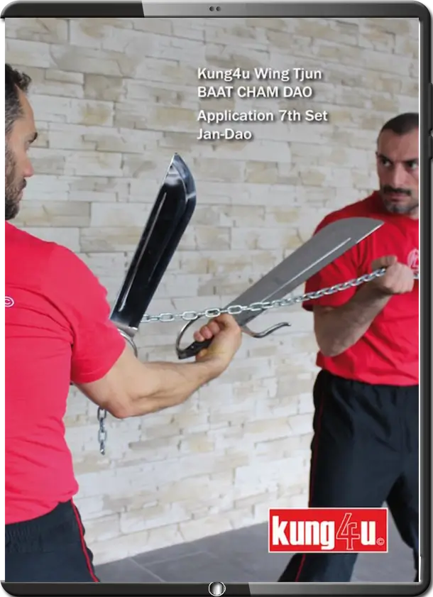 SIFU TANER & SIFU GRAZIANO - 33 - BAAT CHAM DAO (BUTTERFLY SWORDS) APPS 7 OF 8