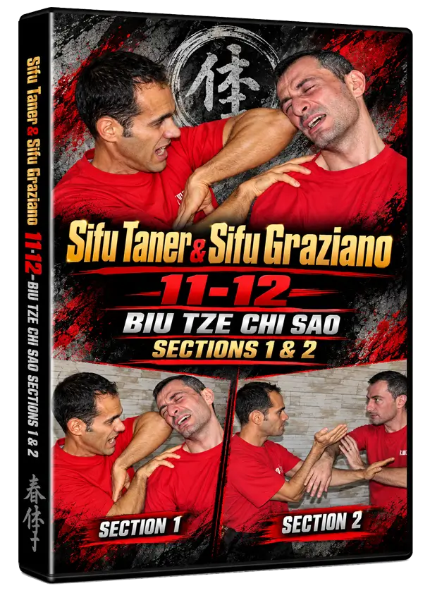 SIFU TANER & SIFU GRAZIANO - 11-12- BIU TZE CHI SAO SECTIONS 1 & 2