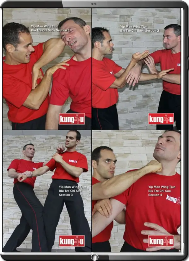 SIFU TANER & SIFU GRAZIANO - BUNDLE 02 - BIU TZE CHI SAO - LEVELS 1-4 - Imagem 2
