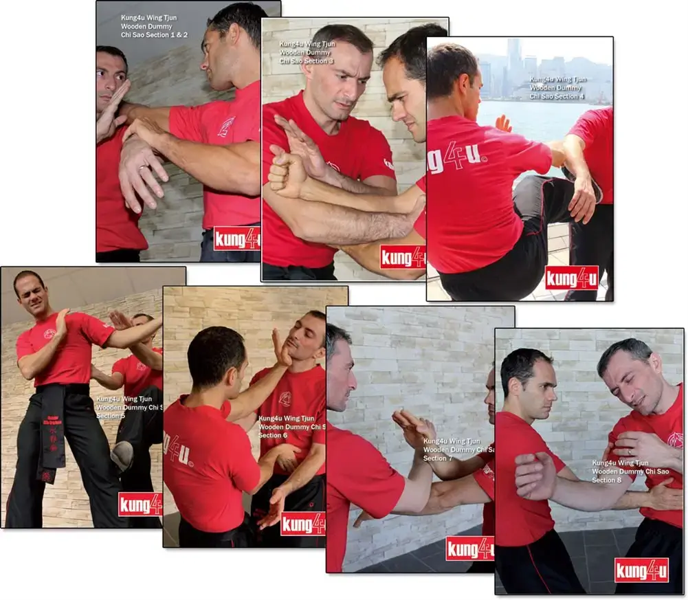 SIFU TANER & SIFU GRAZIANO - BUNDLE 03 - WOODEN DUMMY CHI SAO - LEVELS 1-8 - Imagem 2