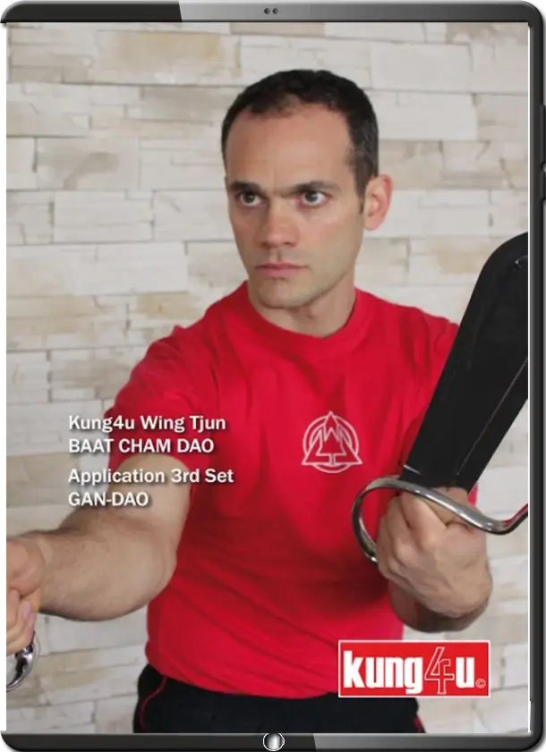 SIFU TANER & SIFU GRAZIANO - 29 - BAAT CHAM DAO (BUTTERFLY SWORDS) APPS 3 OF 8