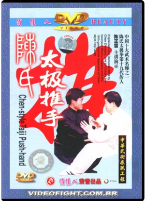 CHEN ZHENGLEI STYLE TAI CHI QUAN SERIES #04