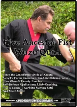 JOHN GRAHAN - FIVE ANCESTOR FIST - WUZU QUAN