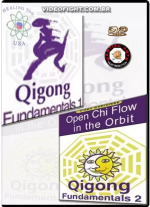 MICHAEL WINN - QIGONG FUNDAMENTALS