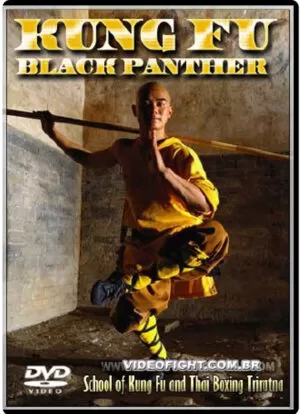 KUNG FU BLACK PANTHER