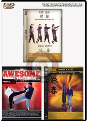 SIFU GARY LAM: INSTRUCIONAIS 2
