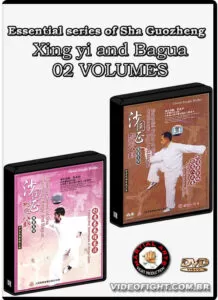 Essential series of Sha Guozheng Xing yi and Bagua
