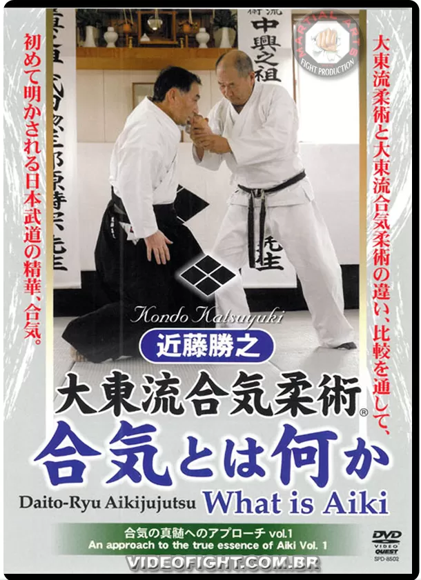 DAITO RYU AIKI JUJUTSU - WHATS IS AIKI ?