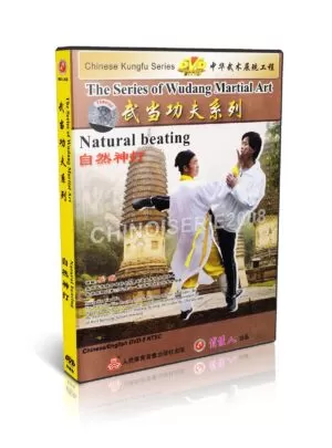 YUE WU - THE SERIES OF WUDANG MARTIAL ART #10