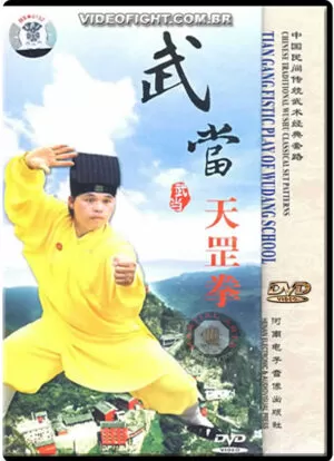 TIAN GANG FISTIC PLAY OF WUDANG SCHOOL