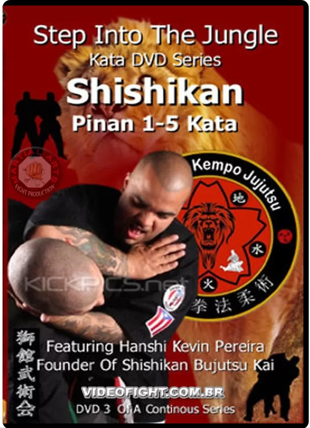 SHISHIKAN PINAN KATA BREAKDOWN & APLICATION