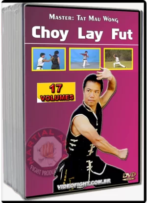 TAT MAU WONG - MASTERING CHOY LAY FUT KUNG FU