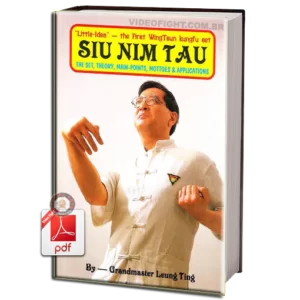 LEUNG TING - SIU NIN TAU EM PDF