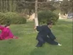 Li cheng xiang tai chi quan 85 forms 2 (2)
