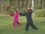 Li cheng xiang tai chi quan 85 forms 2 (4)