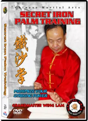 SHAOLIN KUNG FU 37 - IRON PALM TRAINNING