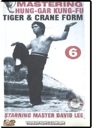 MASTERING HUNG GAR KUNG FU OF DAVID LEE - VOL.06