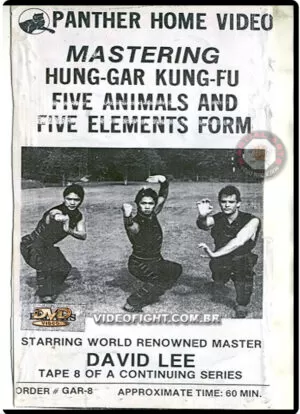 MASTERING HUNG GAR KUNG FU OF DAVID LEE - VOL.08