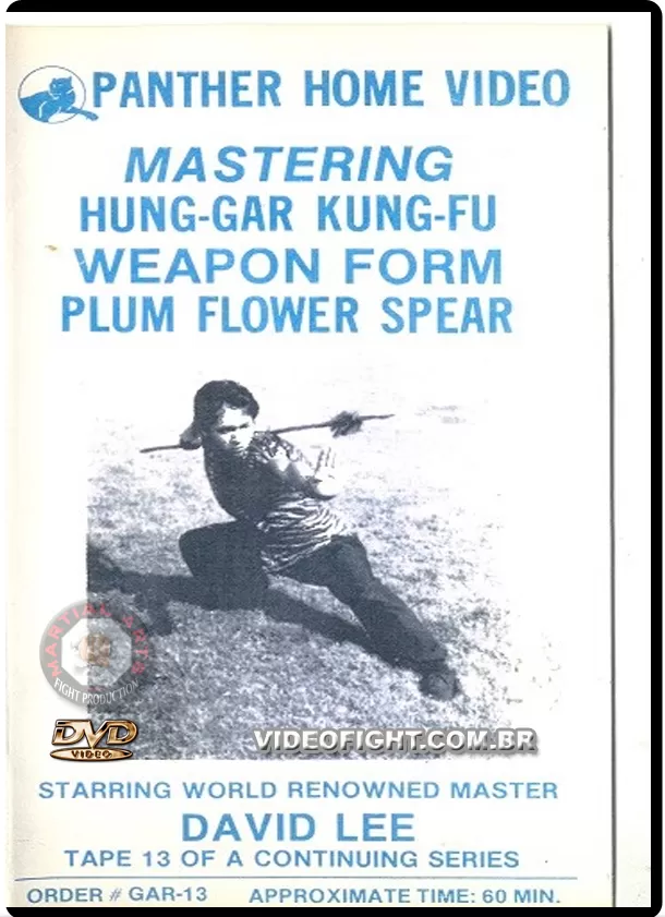 MASTERING HUNG GAR KUNG FU OF DAVID LEE - VOL.13
